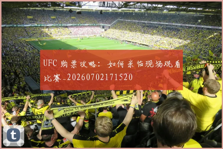 UFC 购票攻略:如何亲临现场观看比赛_20260702171520